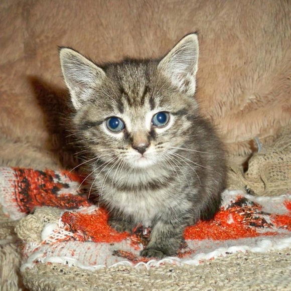 Meet You Posher, Irina - Picture 5 of 6